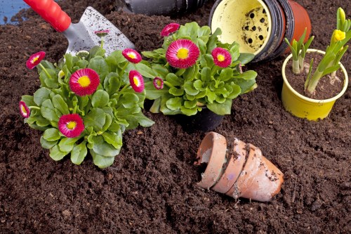 A garden bed in a residential outdoor space featuring vibrant pink and yellow flowering primulas surrounded by lush green foliage planted in dark, freshly turned soil. In the background, a portion of gardening tools, including a small red trowel, is visible. Two yellow pots containing young green shoots of other plants are positioned near the flowering plants, with one pot featuring a small yellow flower. An empty terracotta plant pot lies on its side in the soil, suggesting recent planting activity. The garden area appears well-maintained and prepared for garden landscaping or planting projects common in Hornsey, with a focus on colourful, seasonal flower planting to enhance visual appeal during garden renovation efforts by local landscapers, such as Landscapers Hornsey.