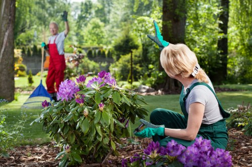 A woman wearing gardening gloves and casual clothing is tending to a garden bed in a residential outdoor space, surrounded by blooming purple rhododendrons and other lush greenery. She is kneeling on the soil, carefully pruning or inspecting the plants, with her attention focused on the flower bed. In the background, a child dressed in a red apron and white shirt is seen watering the garden using a hose, amidst tall trees and a well-maintained lawn that extends through the backyard. The garden features a mix of natural textures, such as dark brown soil, vibrant green foliage, and colorful flowers, with a backdrop of dense, leafy trees casting dappled sunlight over the area. The setting appears peaceful and well-kept, indicative of professional gardening services in Hornsey, highlighting the landscape's layered planting and outdoor maintenance. The scene captures a bright, clear day with natural light enhancing the garden’s rich tones, exemplifying a tidy, flourishing outdoor space suitable for comprehensive gardening and landscaping care by Landscapers Hornsey.