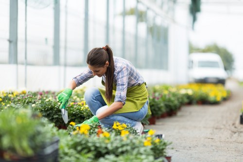 Charity reuse partnership with salvaged garden materials and tools