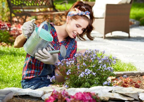 Comprehensive lawn care services including edging and fertilization
