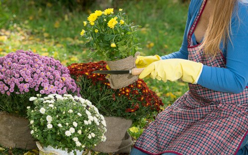 Requesting accessibility help for Hornsey landscaping pages
