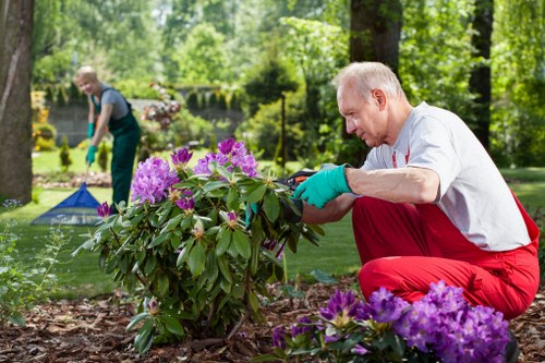 Sustainable waste disposal area for Hornsey landscaping projects
