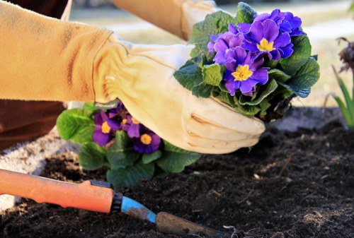 Garden debris being removed by experts in Hornsey