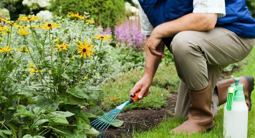 In a well-maintained backyard garden, a person wearing a blue shirt, beige trousers, and brown rubber boots is kneeling on the grass, tending to a flower bed. The garden features a lush, green lawn bordered by a vibrant flower bed filled with yellow daisy-like flowers, purple blooms, and various green foliage. In the background, a row of tall, leafy shrubs provides privacy and structure to the outdoor space. The soil in the flower bed appears freshly turned, and the person is holding a small gardening rake, carefully tending to the plants. A garden spray bottle rests on the grass nearby, indicating ongoing plant care. The scene is lit with natural daylight under a clear, bright sky, highlighting the natural tones of the garden and the healthy, dense lawn. This outdoor space, characteristic of residential gardens in Hornsey, showcases a combination of ornamental flowers and practical lawn care, reflecting professional gardening and landscaping services offered by Landscapers Hornsey.