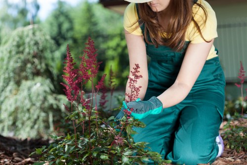 Manager assessing a landscaping complaint