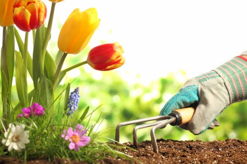 WCAG 2.1 AA accessibility compliance concept for landscaping services