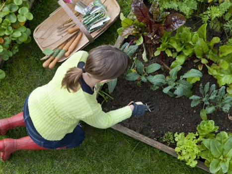A vibrant and eco-friendly garden created by Hornsey Landscapers