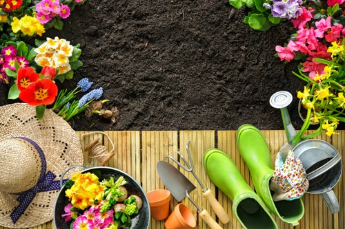 Choosing the right lawn mowing service provider in Hornsey