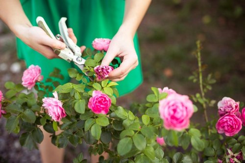 Garden clearance equipment and tools in Hornsey