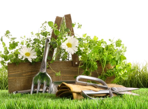 Seasonal garden care activities in Hornsey