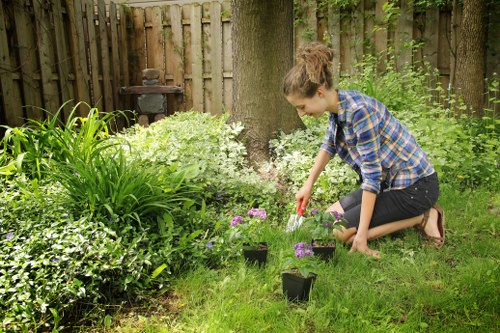 A young woman with brown hair tied back, dressed in a blue plaid shirt and black jeans, is kneeling on a well-maintained grassy garden area in Hornsey. She is planting purple flowering plants in small black containers, which are arranged on the green lawn in front of her. The garden features dense foliage, including hostas with broad green leaves, a hedge in the background, and a large tree with visible bark in the centre. A weathered wooden fence borders the garden, providing privacy, and there is a small garden ornament or feature partially visible behind the shrubbery. The scene is set during daylight with natural light filtering through the trees, suggesting a mild, overcast or partly sunny day. This outdoor space showcases easy-care lawn and garden bed elements typical of residential gardens in the Hornsey area, aligning with professional gardening and landscaping services offered by landscapers in the local community.