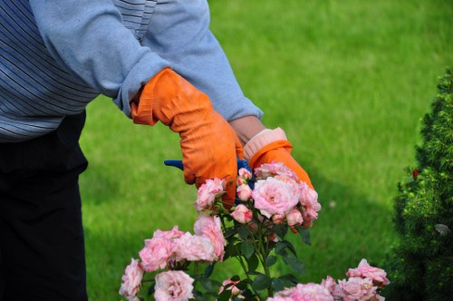 Expert lawn mower tending to a well-maintained lawn