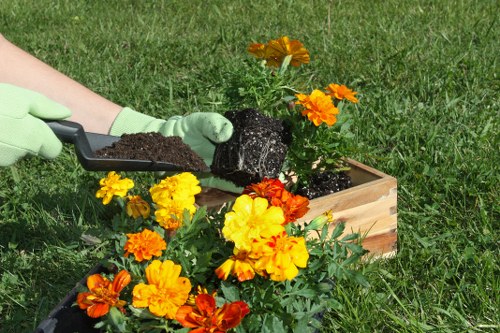 A gardener wearing light green gloves is planting vibrant orange, yellow, and red flowers into a wooden rectangular planter box on a well-maintained grassy lawn, with a metal trowel filled with dark soil in hand. The background features lush green grass, and the scene appears to be outdoors on a sunny day, illustrating typical garden maintenance or planting activities associated with residential gardening services in Hornsey. The focus is on the detailed planting process, highlighting healthy blooming flowers and fresh soil, with natural lighting emphasizing the bright floral colours and the textured wooden planter, suitable for attracting local gardening and landscaping attention.