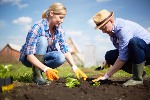 A woman and a man are working together in a well-maintained garden in Hornsey, engaged in planting a small vegetable or flower seedling into freshly turned dark soil. The woman, dressed in a blue plaid shirt and jeans, is smiling as she places the plant while wearing bright orange gardening gloves. The man, wearing a straw hat, light blue shirt, dark trousers, and grey rubber boots, is also carefully planting, using a small hand trowel. In the background, there is a lush green lawn with a mix of grass and small plants, bordered by a hedge and some scattered trees that frame the outdoor space. The garden appears to be part of a residential property, with a red brick house and a shed visible in the distance, under a clear blue sky with soft sunlight illuminating the scene. This image captures active garden planting, demonstrating outdoor maintenance and gardening tasks suitable for landscaping services in Hornsey, with natural garden elements and a focus on cultivating healthy growth within a typical UK garden environment.