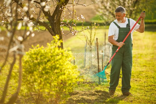 Professional hedge trimming service in Hornsey